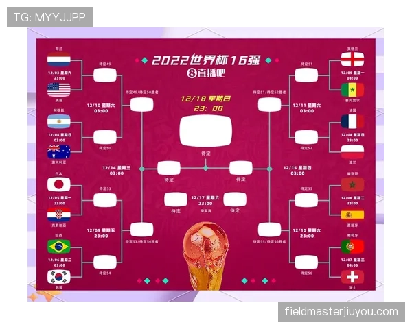 日本世界杯淘汰赛赛程预测
